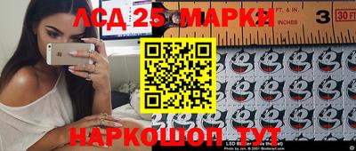 прущие крисы Будённовск